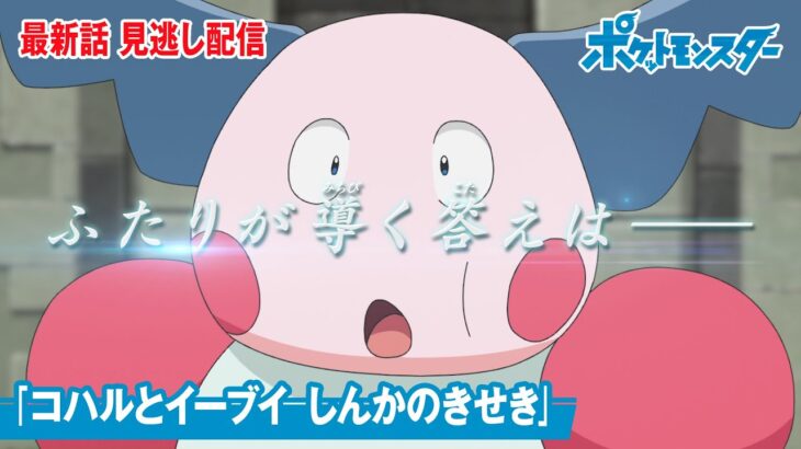 【公式】アニメ「ポケットモンスター」第119話「コハルとイーブイ　しんかのきせき」（見逃し配信）