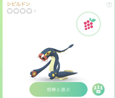 ポケモンGOの「シビルドン」に感動する本家民