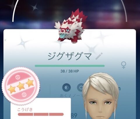 【ポケモンGO】何故か「ガラルジグザグマ」で100％個体を求めてた人達