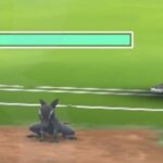 【ポケモンGO】エレメントカップの「ヤトウモリ」ガチでヤバい強さだと話題に