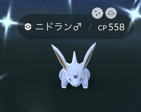 【ポケモンGO】ニドランオスアワー反省会！「博士送りタイム！」「クインは強いけどキングさんは…」