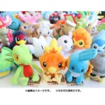 朝起床ワイ「チュッ😘(ポケモンのぬいぐるみに) 」　帰宅ワイ「チュチュチュッ😘」