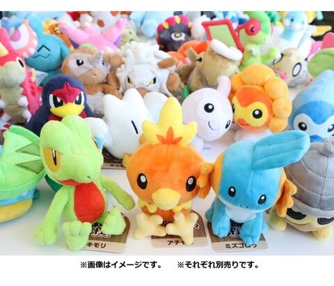 朝起床ワイ「チュッ😘(ポケモンのぬいぐるみに) 」　帰宅ワイ「チュチュチュッ😘」