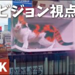 【ポケモンGO】クロス新宿ビジョンでポケモンGO！周辺に猫ポケモンが出現！？
