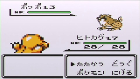 人生で初めてレベル100にしたポケモンww