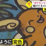 【悲報】アローラライチュウの「ポケふた」、傷つけられてしまう