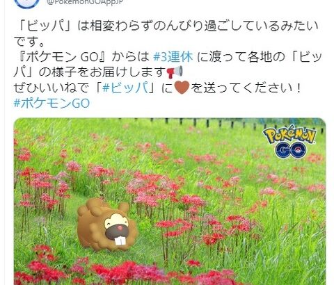 【ポケモンGO】ビッパイベントのフラグが立つ…ナイアンのビッパ好きは異常