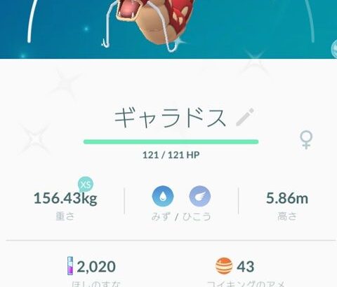 【ポケモンGO】息子に「砂200万不思議な飴400個」コラッタとカブトに勝手に使われる･･･(´・ω・｀)泣きそう