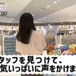 【悲報】ポケモン公式「おつきみピッピ」の配布条件があまりにも厳しすぎる