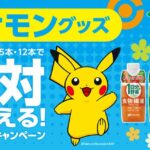 伊藤園でポケモングッズが全員貰えるキャンペーンが開催！