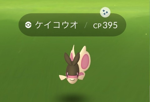 【ポケモンGO】ケイコウオチャレンジ！色違いがでた強運の持ち主おる？