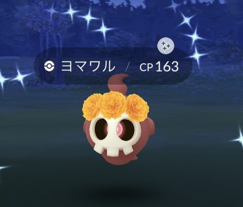 【ポケモンGO】色率は平常通り「色違い花飾りヨマワル」手に入れた奴が勝ち組！