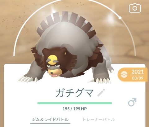 【ポケモンGO】「おんがえしガチグマ」の為に22時超えてから進化させたら…信じられないバグが…