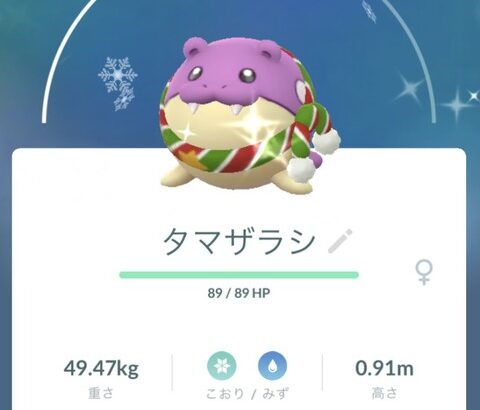 【ポケモンGO】「クリスマス仕様のタマザラシ」のクリスマス直前にマフラーが外れて嘆く民！