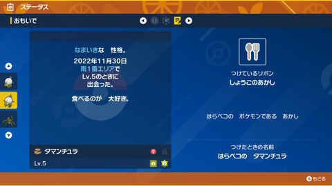 【ポケモンSV】「色証勢」とかいう謎の勢力