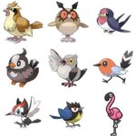 Pokémon 1008 ENCOUNTERSで判明した公式からの序盤鳥アンサーがこちら