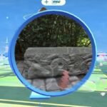 【ポケモンGO】カクレオン、まだ全然捕まえられてない勢