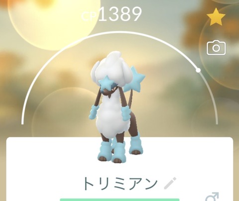 【ポケモンGO】忘れがち！「トリミアン（ハートカット）」はバレンタインイベの期間のみ可能！