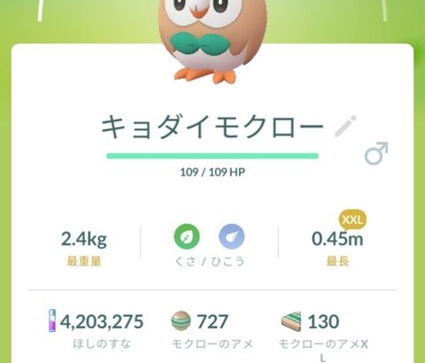 【ポケモンGO】小さい&デカいサイズも残してボックス圧迫する勢！