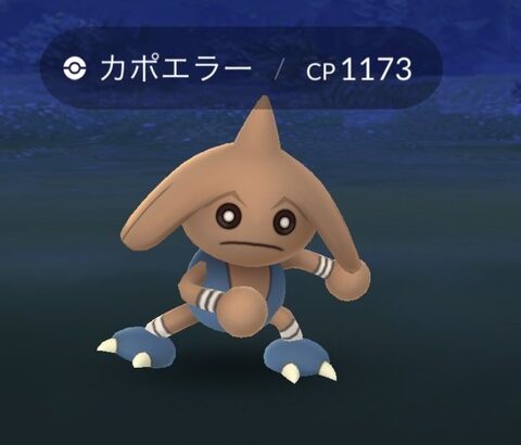 【ポケモンGO】地獄の捕獲率！エビサワカポエラー達