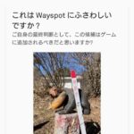 【ポケモンGO】ポケスト申請「木彫りの熊・三角コーン」を持ち歩き申請しまくる害悪ユーザー