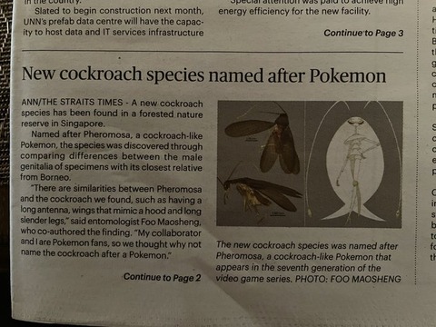 シンガポールで発見された新種の「リアル虫」ポケモンから命名される