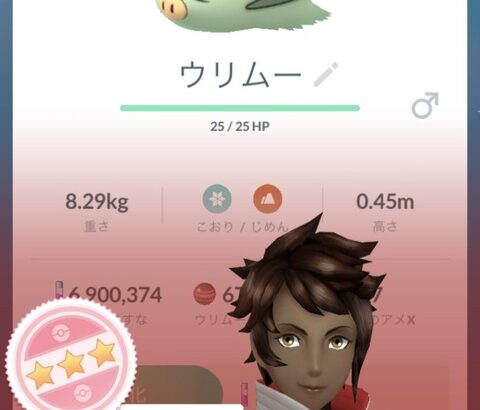 【ポケモンGO】ウリムー復刻コミュデイ反省会！「こいつの100は何匹居ても困らない」「特別技が弱い」「ウリムーデイでメガシンカさせるなら最適は？」