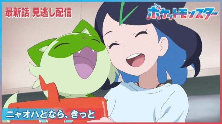 アニポケリコロイの感想記事