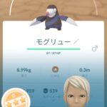 【ポケモンGO】モグリューを狙え！「ドリュウズ」はレイドでもPvPでもクッソ強い！