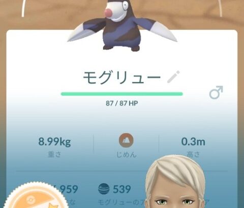 【ポケモンGO】モグリューを狙え！「ドリュウズ」はレイドでもPvPでもクッソ強い！