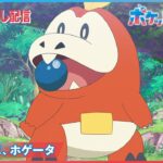 【公式】アニメ「ポケットモンスター」第5話「みつけたよ、ホゲータ」（見逃し配信）