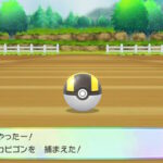 小学生時代俺「やったー！ポケモン捕まえたよ！」親父「そいつにも家族おったやろうな。お前のせいでもう会えんな。可哀想に」