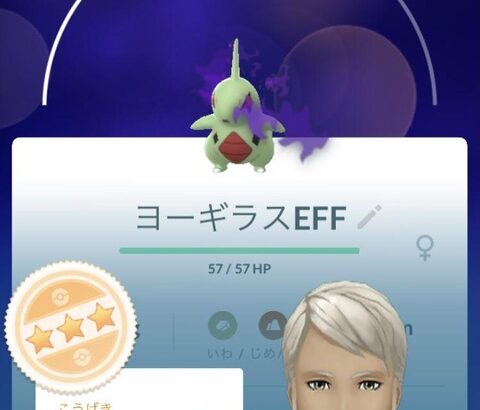 【ポケモンGO】「攻撃欠け”EFF”シャドウヨーギラス」こいつどうしたらいい！？