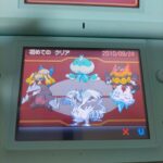 ポケモンのイッシュ地方で必ず旅パに入れていたポケモンを想像してください