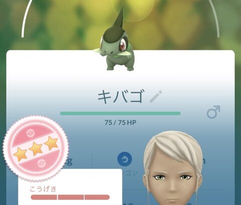 【ポケモンGO】キバゴデイ反省会！「色違い率いつもより渋くない？」「100狙うのタスク狙いと野生狙いどっちが良い？」