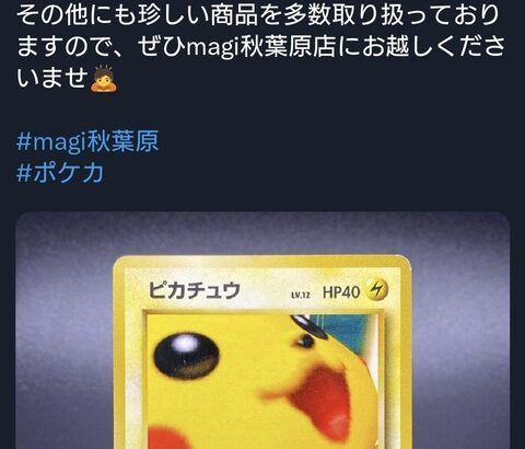 【朗報】ポケカ、遂にお家が買えるお値段へ