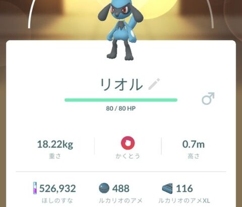 【ポケモンGO】「リオル100％」持ってる奴どれくらいおる？