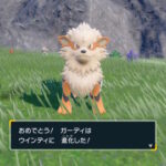 【ポケモンSV】ウインディってもしかしてハバタクカミ対策で強い…！？