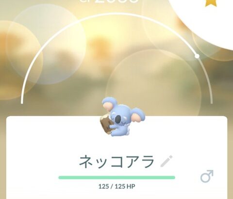 【ポケモンGO】ネッコアラ！「新規ポケの野生実装」は久しぶり？なお出現率は…