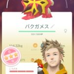 ポケモンGO今イベは色バグガメスの100取った奴が優勝明らかにレイドも少ないしタスクも鬼畜仕様なのどういう意図なの