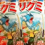 ポケモンの「釣りグミ」買ってきたから実況するぞｗｗ