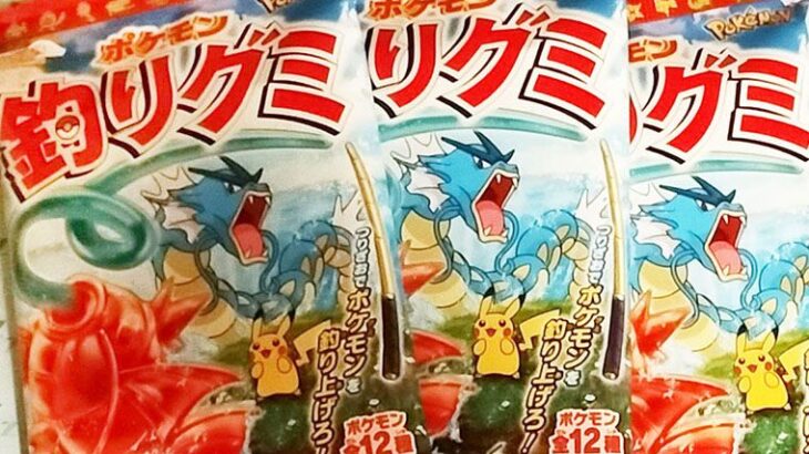 ポケモンの「釣りグミ」買ってきたから実況するぞｗｗ