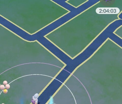 【ポケモンGO】「ルート機能」道が途中で途切れてる、同じ所グネグネルート。こういうのさぁ