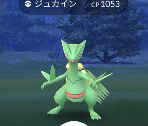 【ポケモンGO】ワイブレ獲得組「ジュカイン」「ハガネ―ル」ぶっ壊れる