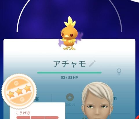 【ポケモンGO】「シャドウバシャーモFEE」そのまま使う？リトレーンしてメガ運用する？