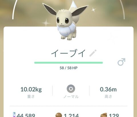 【ポケモンGO】始めて「色違いイーブイ」をゲットした勢！何に進化させたらいい？