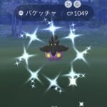 【ポケモンGO】砂2倍！バケッチャアワー反省会！「紫カボチャ出ない」「ハロウィンpart2が本番では？」