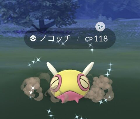 【ポケモンGO】ノコッチさん、一見「ほしのすな」を多めに持ってそうな持って無い…星の砂が多めに貰えるポケモンは？