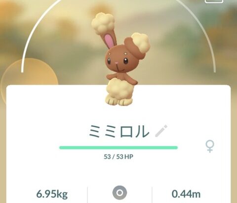 【ポケモンGO】ミミロルアワー反省会！「進化マラソンって時代遅れってマジ！？」