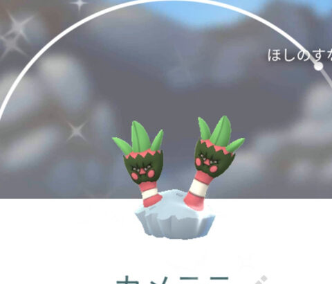 【ポケモンGO】誰も何も言わないけど「カメテテ」が気持ち悪くて苦手なんだけどおま感？